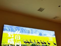 -杨厨的田园饭店(长城路店)