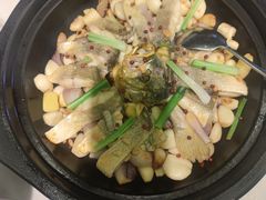 -陕西自然博物馆