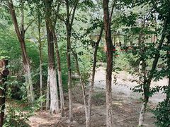 -西青郊野公园