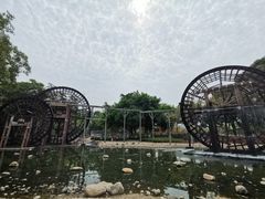 -厦门园林博览苑