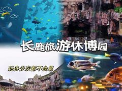 -长鹿旅游休博园