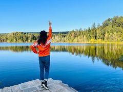 -五营红松林海景区