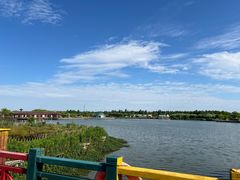 -上海都市菜园