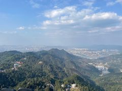 -大金鹰园