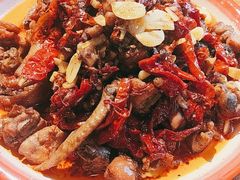 -柴窝堡22号辣子鸡·传承新疆菜