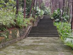 -铁山坪森林公园