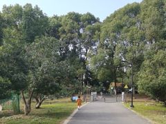 -虞山风景区