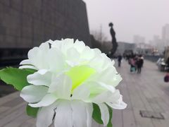 -侵华日军南京大屠杀遇难同胞纪念馆