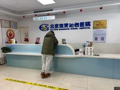 -北京观赏动物医院·24小时大型综合·猫专科·异宠专科