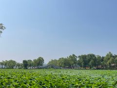 -长春市南湖公园