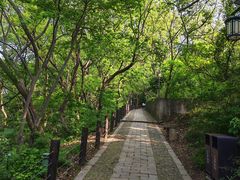 -苏州上方山国家森林公园