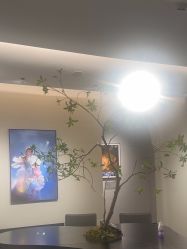 -大树儿童摄影