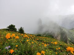 -小五台金河景区