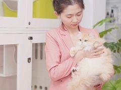 -青奢宠物·青奢猫舍