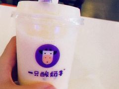 -一只酸奶牛(海南友谊阳光城店)