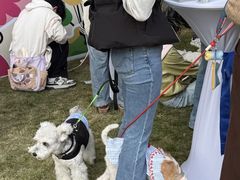 -上海神旺大酒店