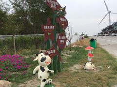 -小洋口旅游度假区