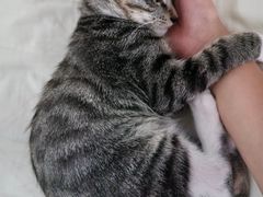 -宠颐生宠物医院·骨外科·犬猫全科诊疗中心(池州店)