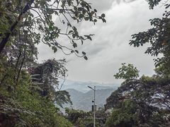 -黄埔油麻山森林公园