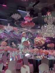 -迈瑞米求婚策划(静安店)