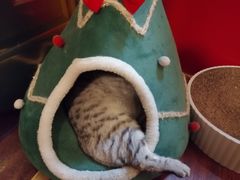 -H立方实景剧情密室(天河旗舰店)