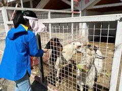 -J Create城市露营咖啡·简餐·宠物(上海动物园店)