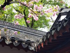 -寒山寺