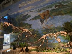 -自贡恐龙博物馆