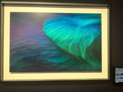 -罗红摄影艺术馆