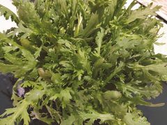 -璞御·海鲜·雪花牛肉局(宾水西道店)