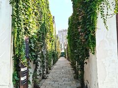-青果巷历史文化街区
