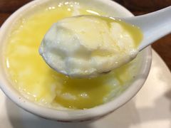 姜汁双皮奶-正德顺順德雙皮奶(中信店)