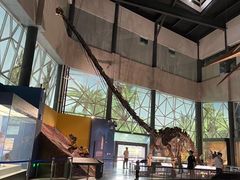 -湖南省地质博物馆