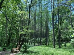 -关门山森林公园