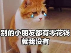 -槟城颠倒博物馆