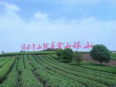 -樱桃山旅游景区