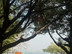-南沙天后宫景区
