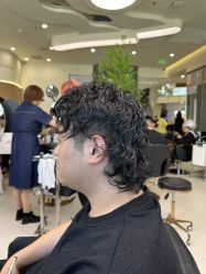 -GANO HAIR 