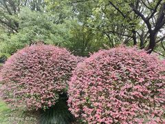 -苏州河梦清园环保主题公园