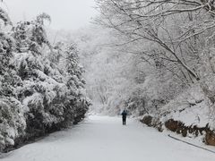 -嘉陵江源头景区