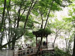 -秦岭风景区