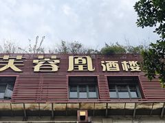-芙蓉凰花园酒楼