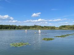 -溱湖国家湿地公园