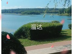 -丁香湖公园