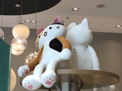 -飞行喵MR PILOT|猫舍·猫咖(静安大融城店)