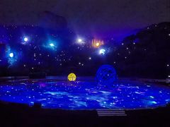 -鼎盛王朝康熙大典实景演出