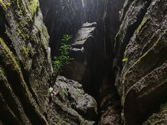 -梭布垭石林景区