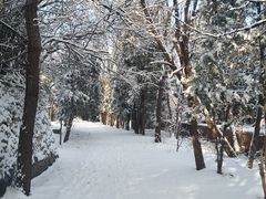 -大连理工大学(凌水校区)