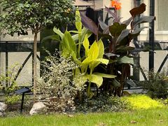 -一尺花园(安和花园店)