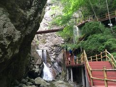 -牛背梁国家森林公园